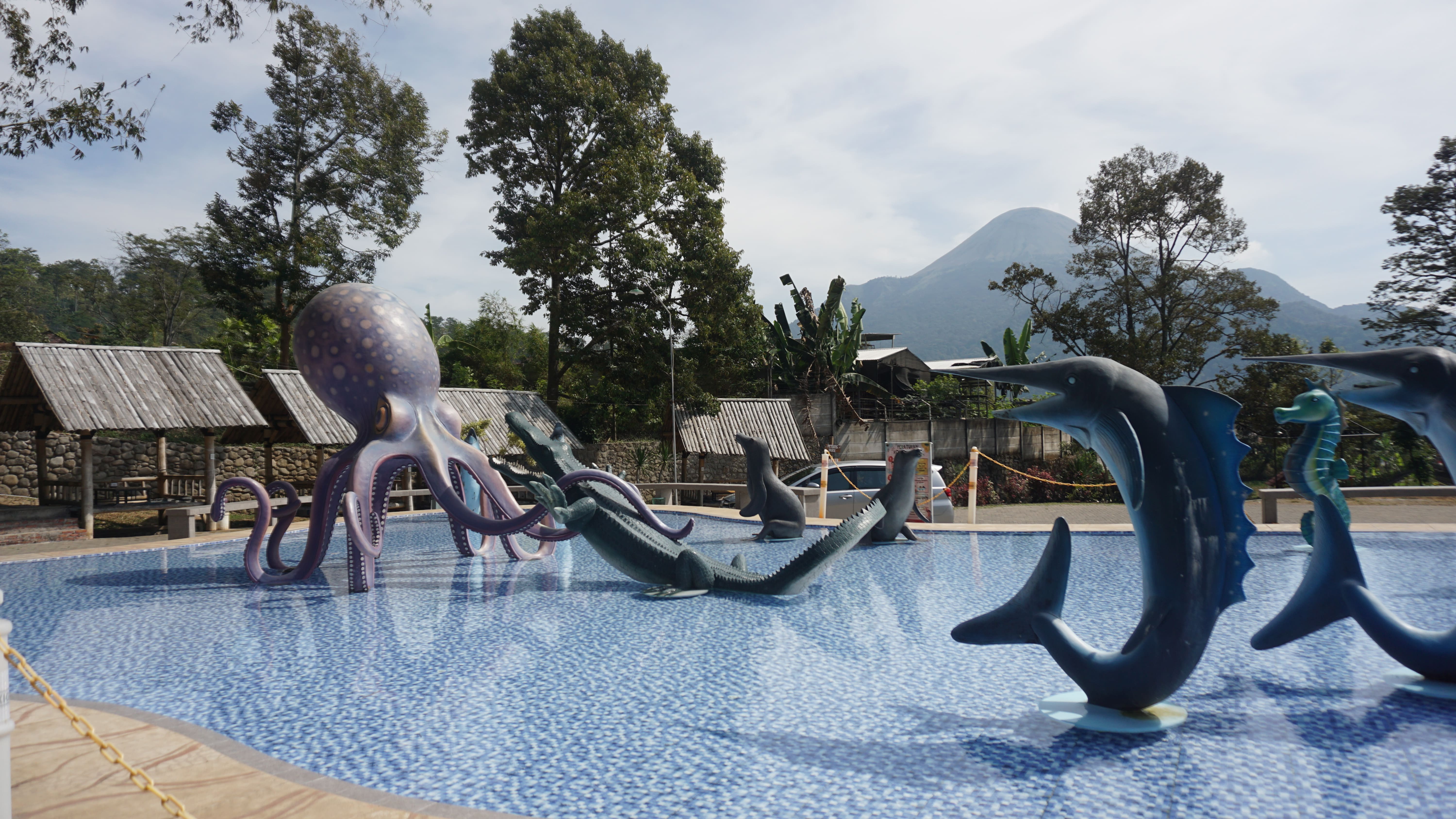 Foto Kolam Bayi